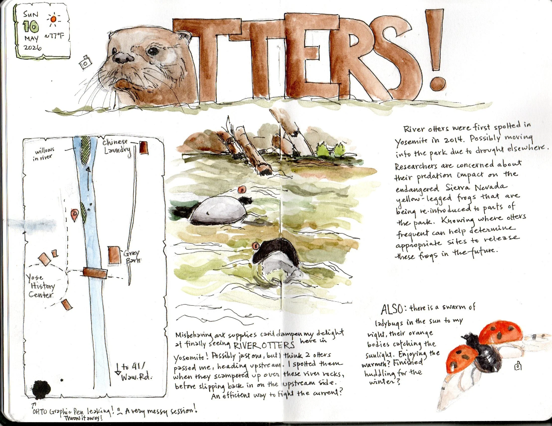 The Multiplication of Awe: The Practice and Power of Nature Journaling, Curiosity, and Community