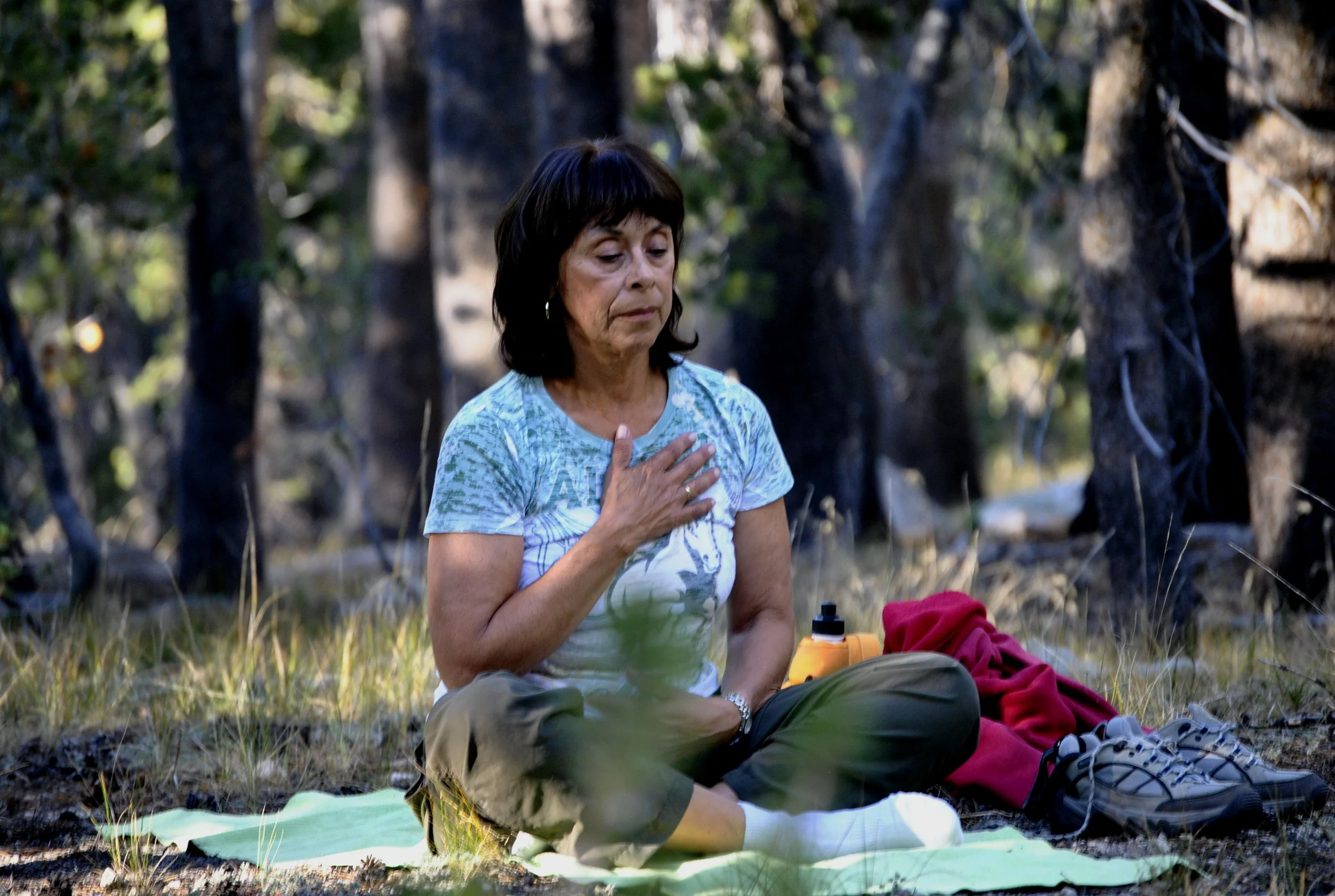 2012_HighSierraRetreat.JPG