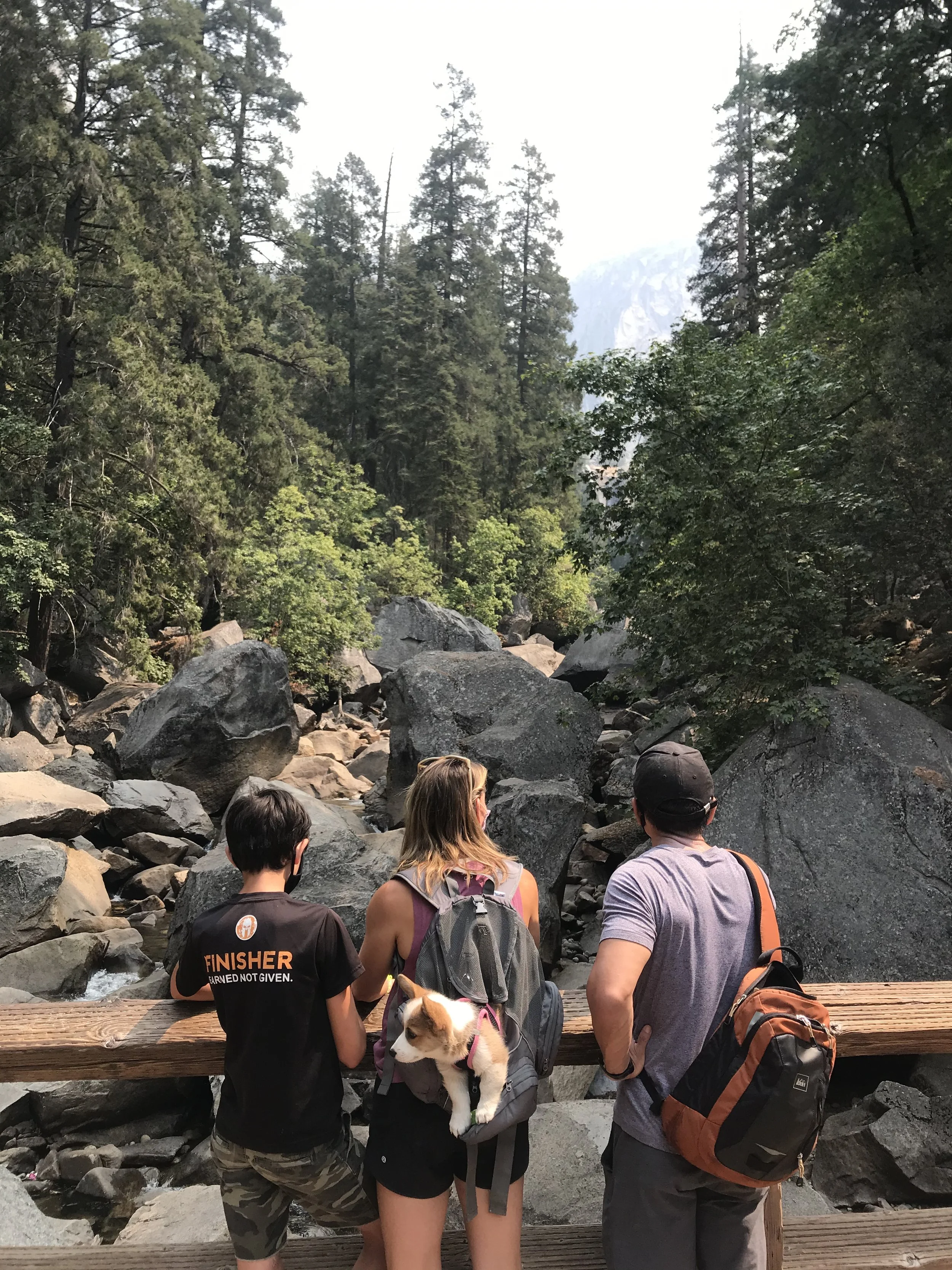 dog friendly hike in yosemite 