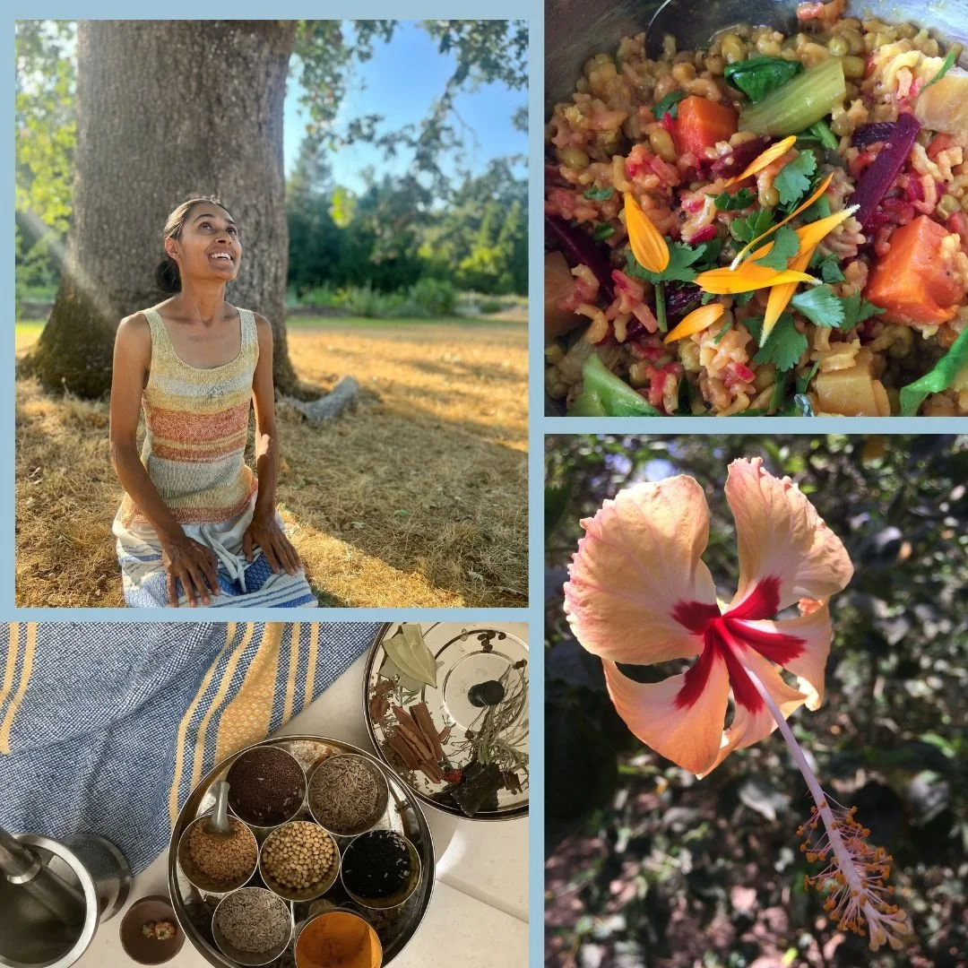 ONLINE | Explorations in Ayurveda for Self-Healing