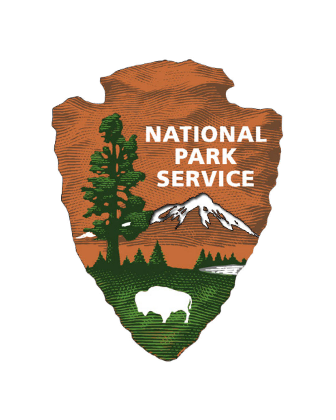 Yosemite National Park, national park service, yosemite, california parks