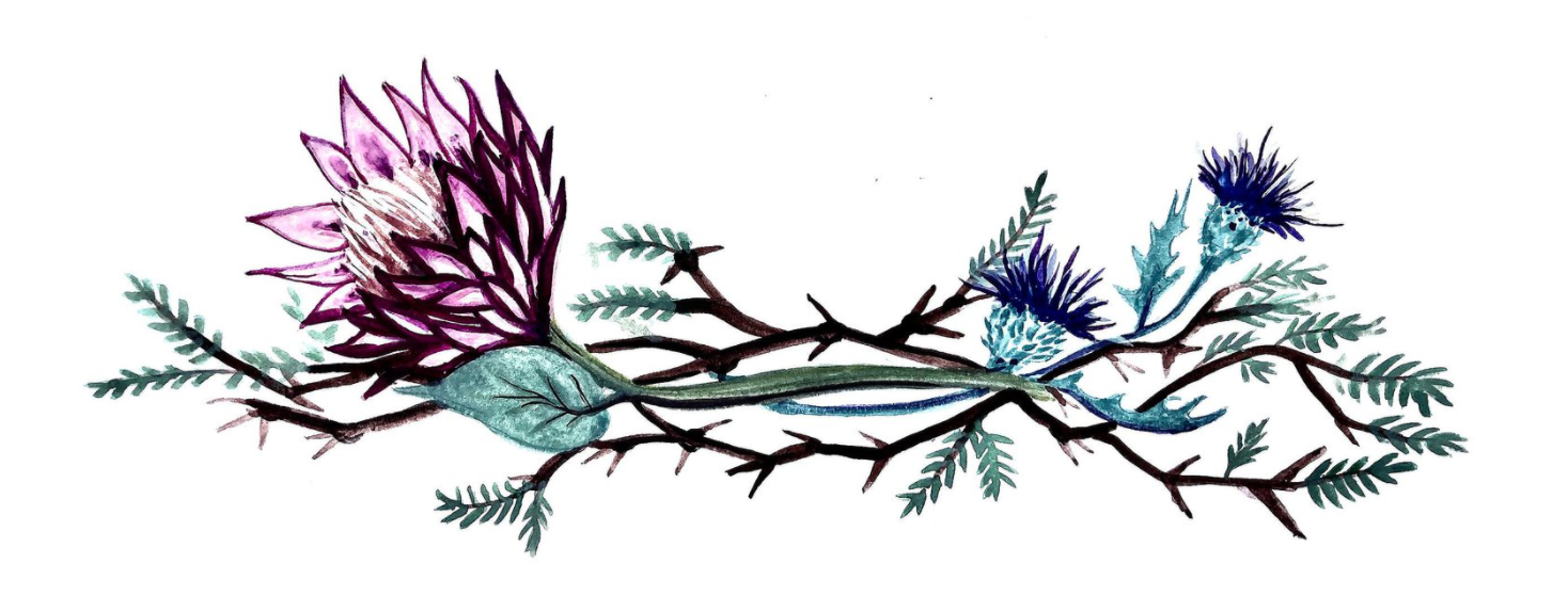 Screen Shot 2022-02-11 at 2.32.49 PM.png