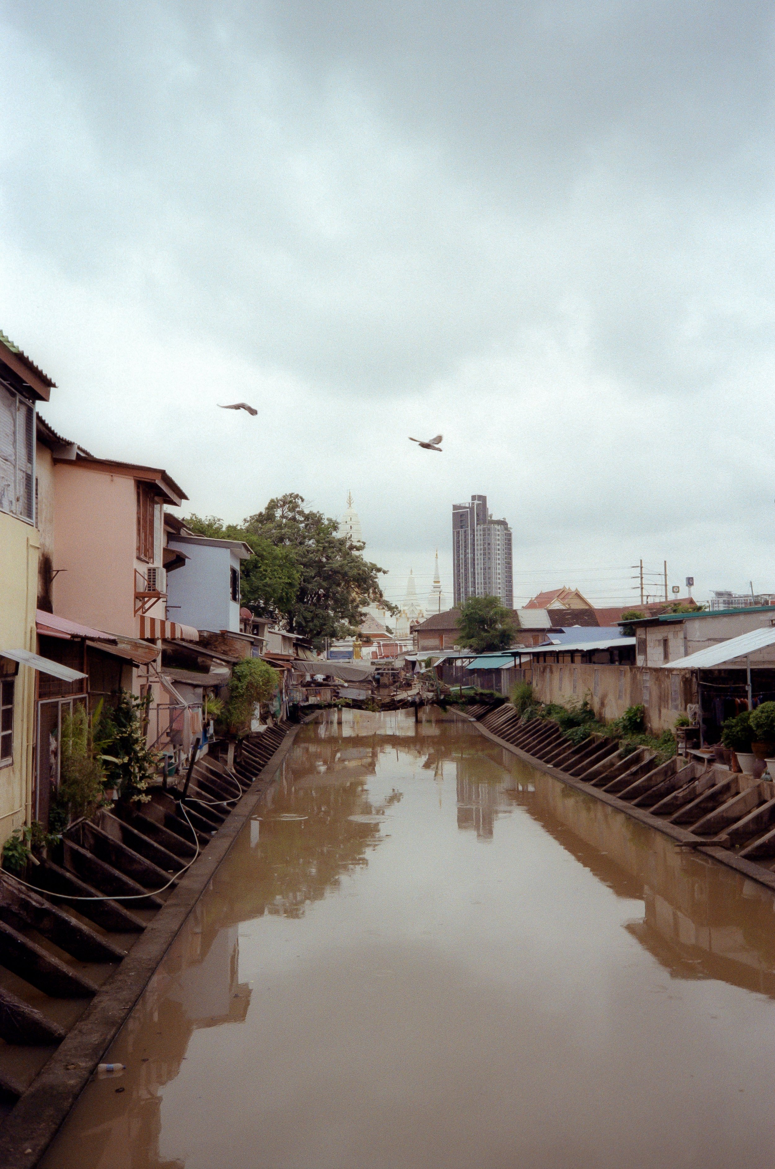 scan0023.jpg