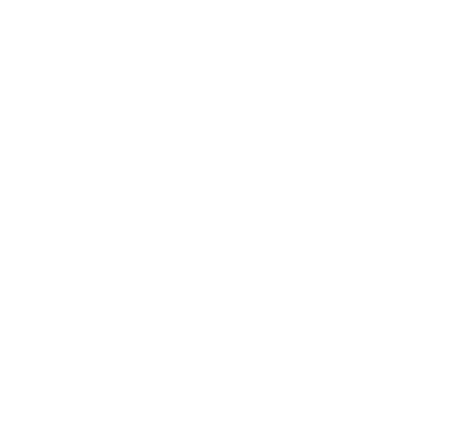 The Skin Room