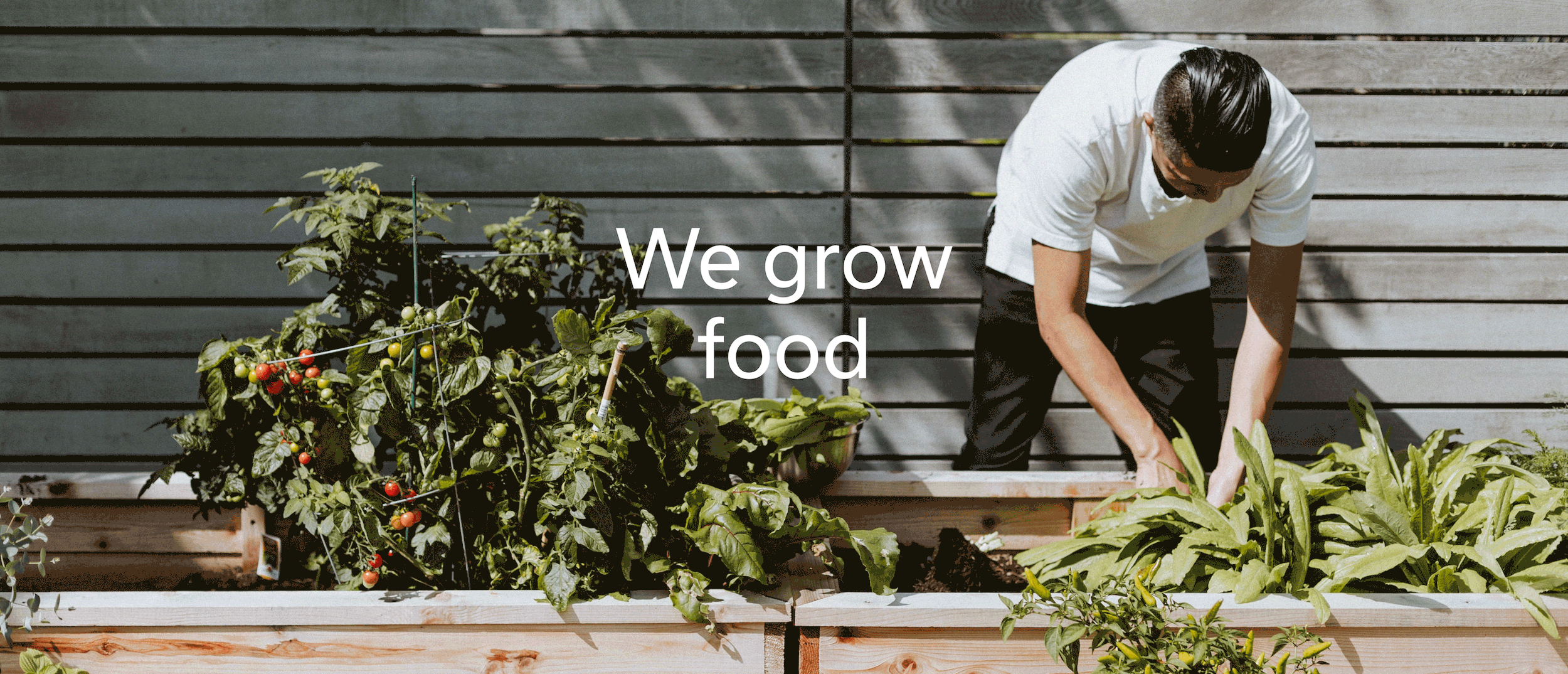 Yields Residential & Commercial Landscapes