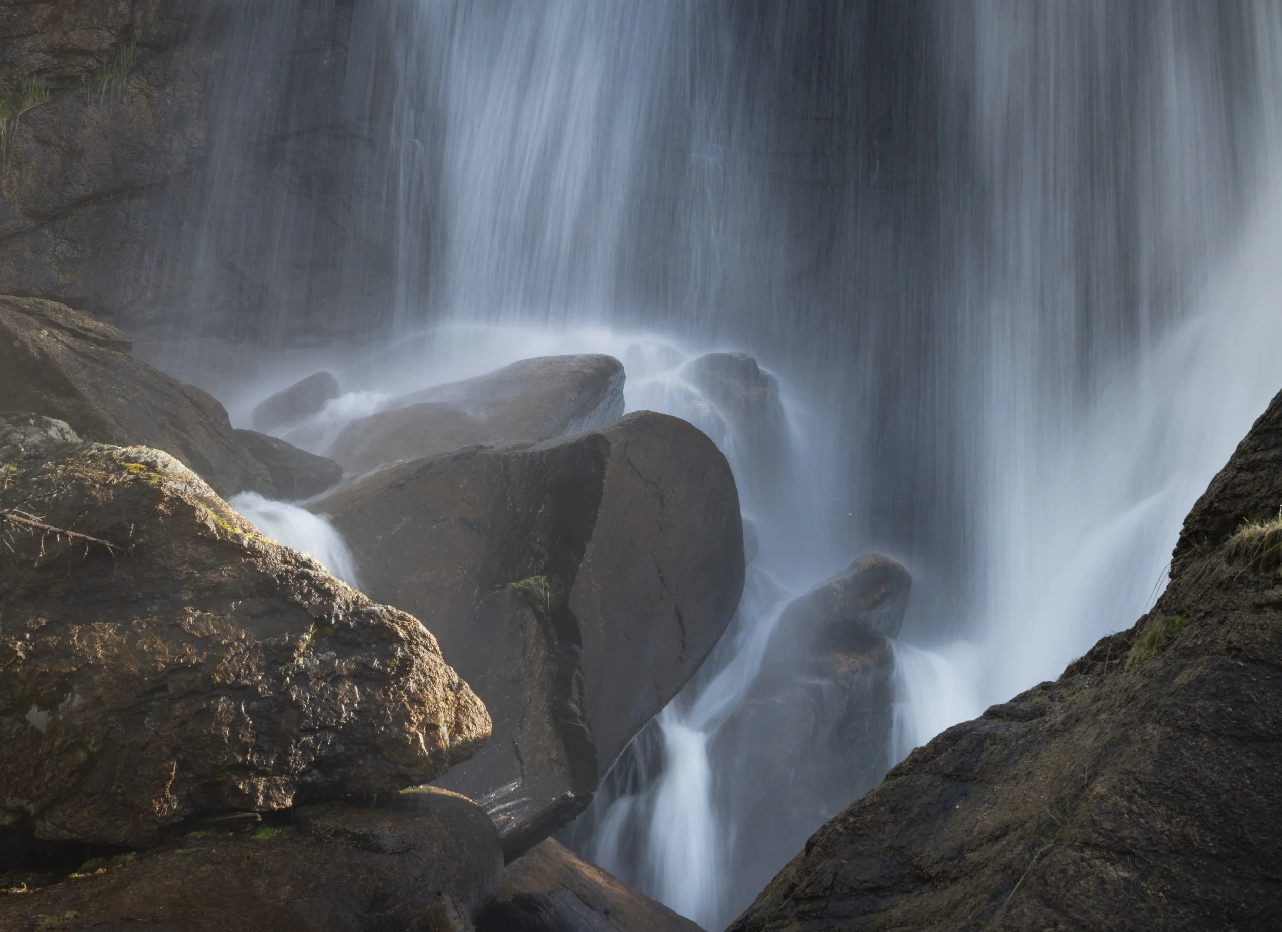 Photographs — Janine King Photographs