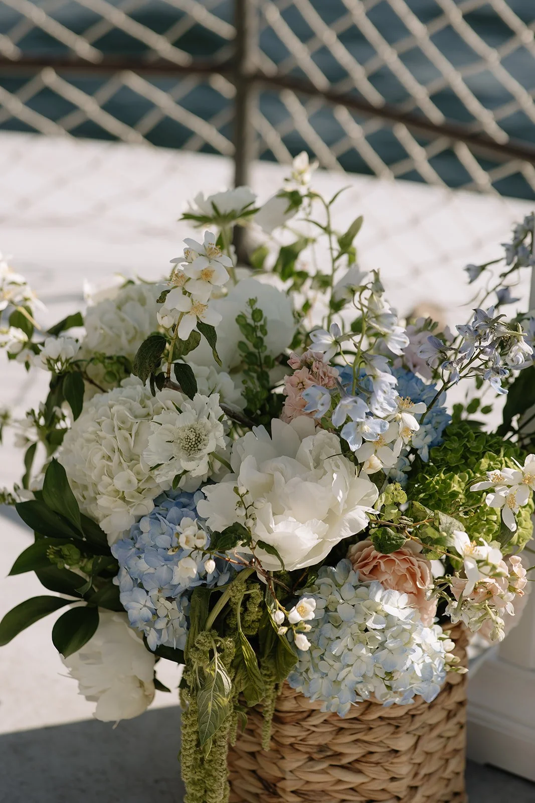 ashleypagephoto3-67.jpg