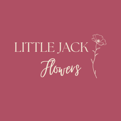 Little Jack Flower Farm