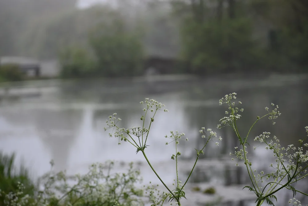 Granite Real Estate Investments, LLC