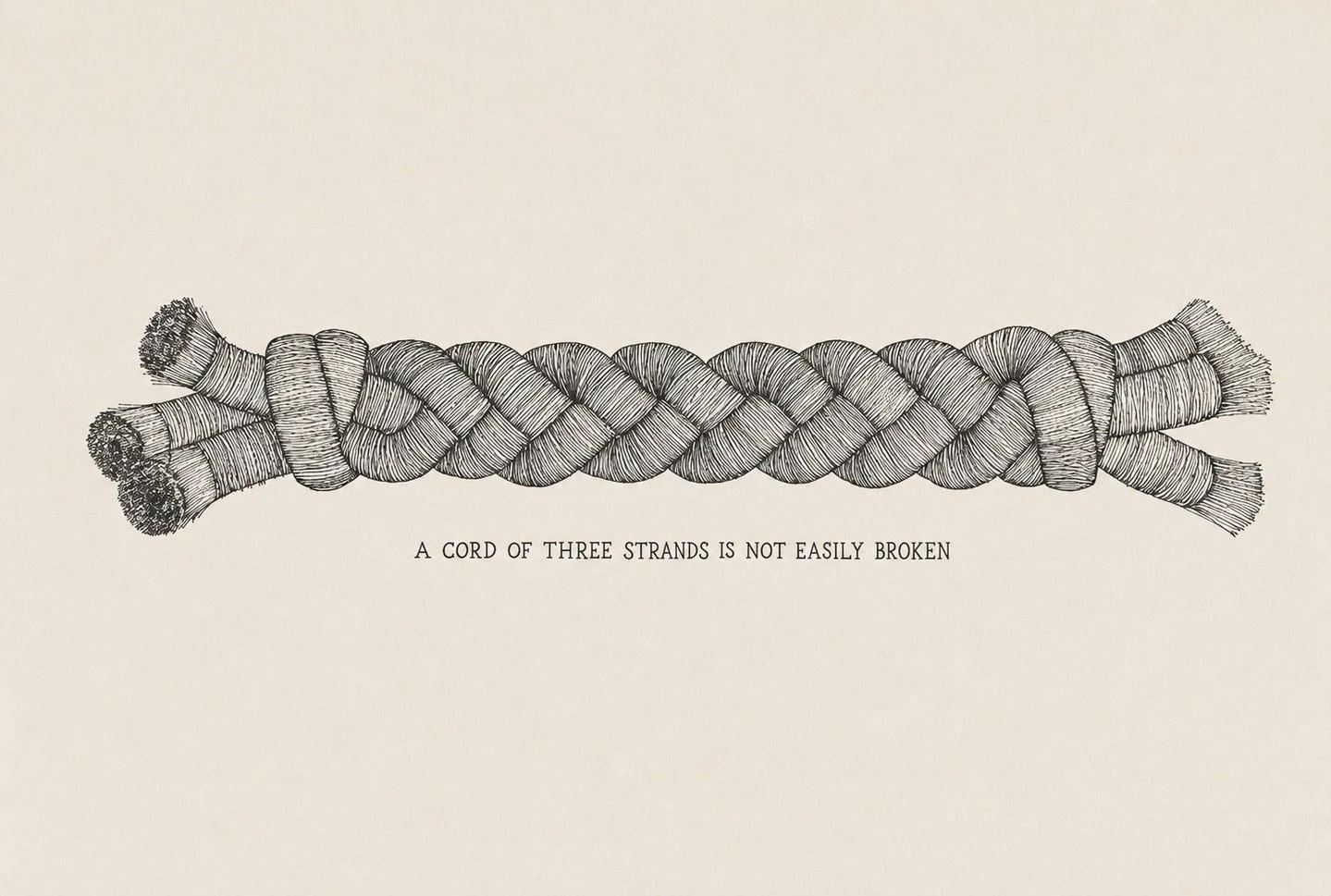 "A rope made of three strands is not quickly broken." (Ecclesiastes 4)
This week at IPC a wedding during worship! Learn more at the Newsletter link in our bio!