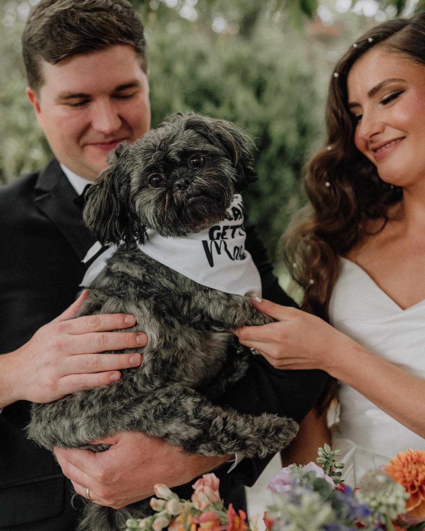 I 🤍 Ted 

. ݁₊ ⊹ . ݁

A day this important should include 𝘢𝘭𝘭 your loves. If you&rsquo;re going to have a signature cocktail at your reception, consider naming it after your beloved fur baby! 

Photography | @haleyocallaghan 
Couple | @sarahbish7