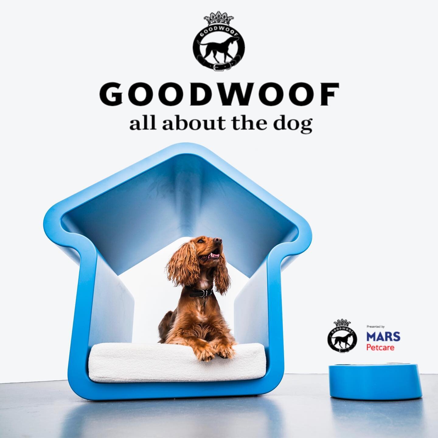 Get ready for a woof-tastic weekend at @goodwoofdogs ! 🐾 
Join us for tail-wagging fun as we unleash the best personalised products. Swing by BayCo Designs to pamper yourself and your furry friends with the finest goodies!

Find us outside the Agili