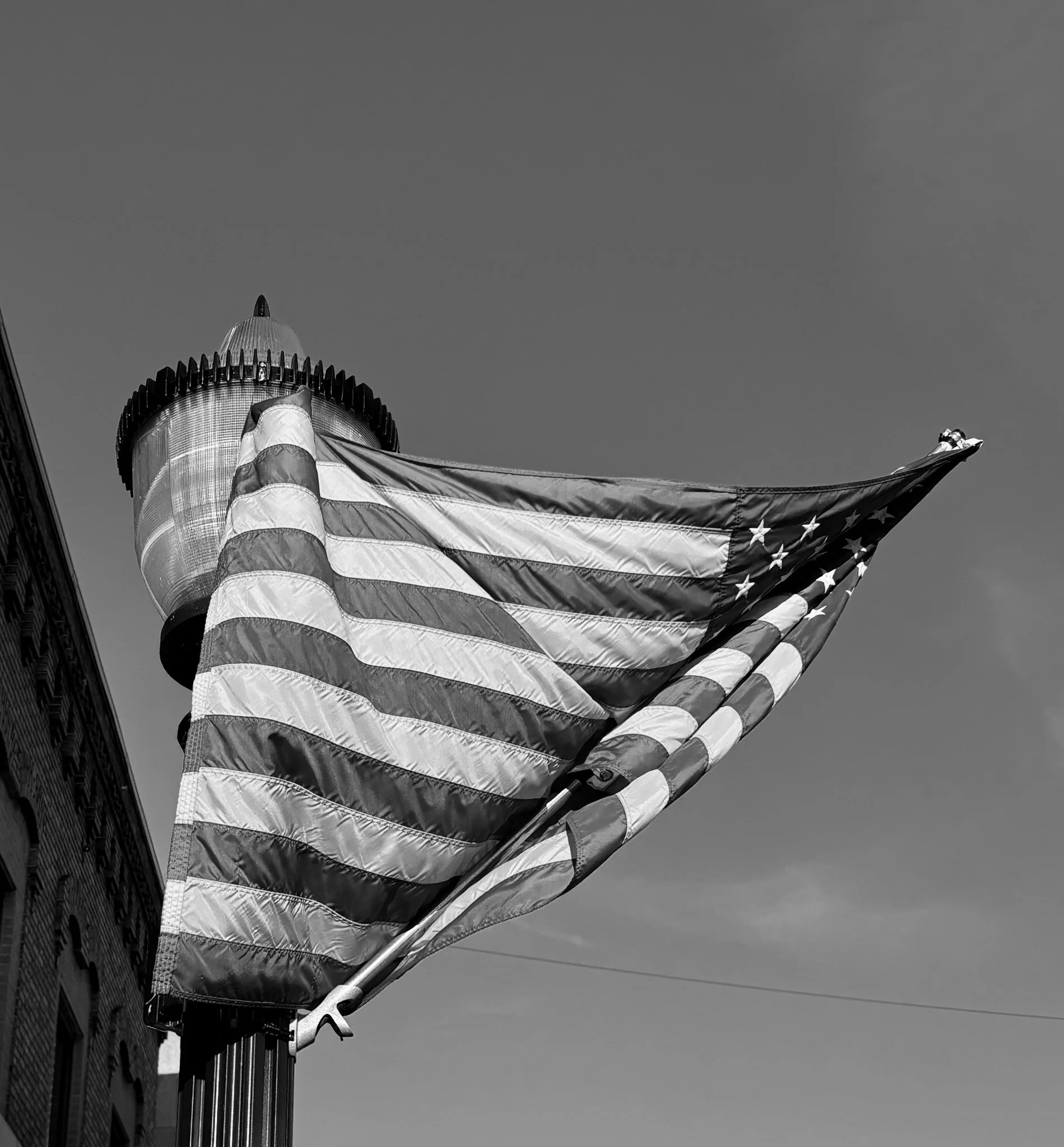 IMG_1950.jpg