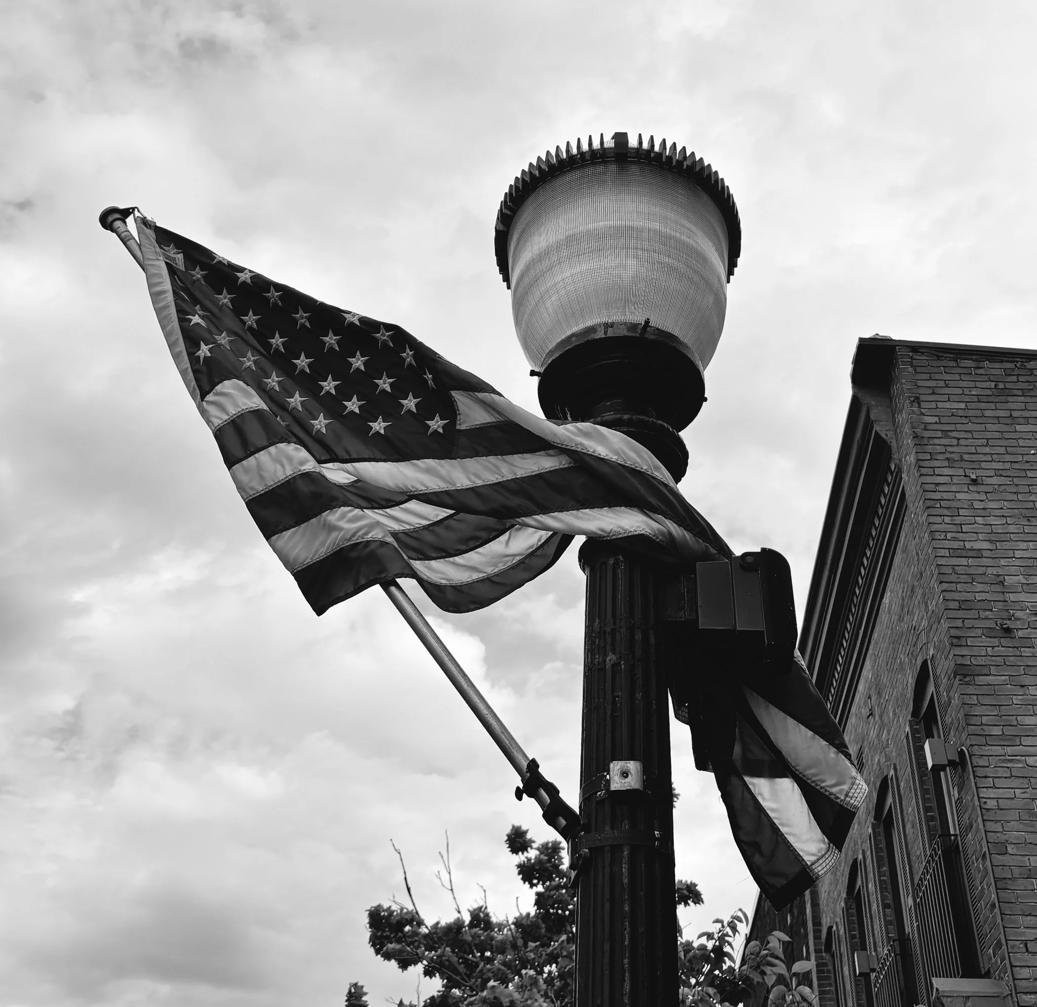 IMG_2109.jpg