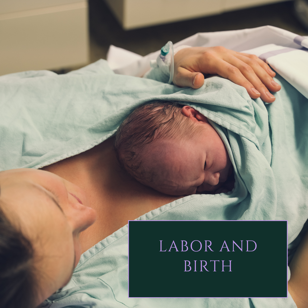 Labor and Birth Services Link with image of birthing person and newborn in hospital laying skin to skin.