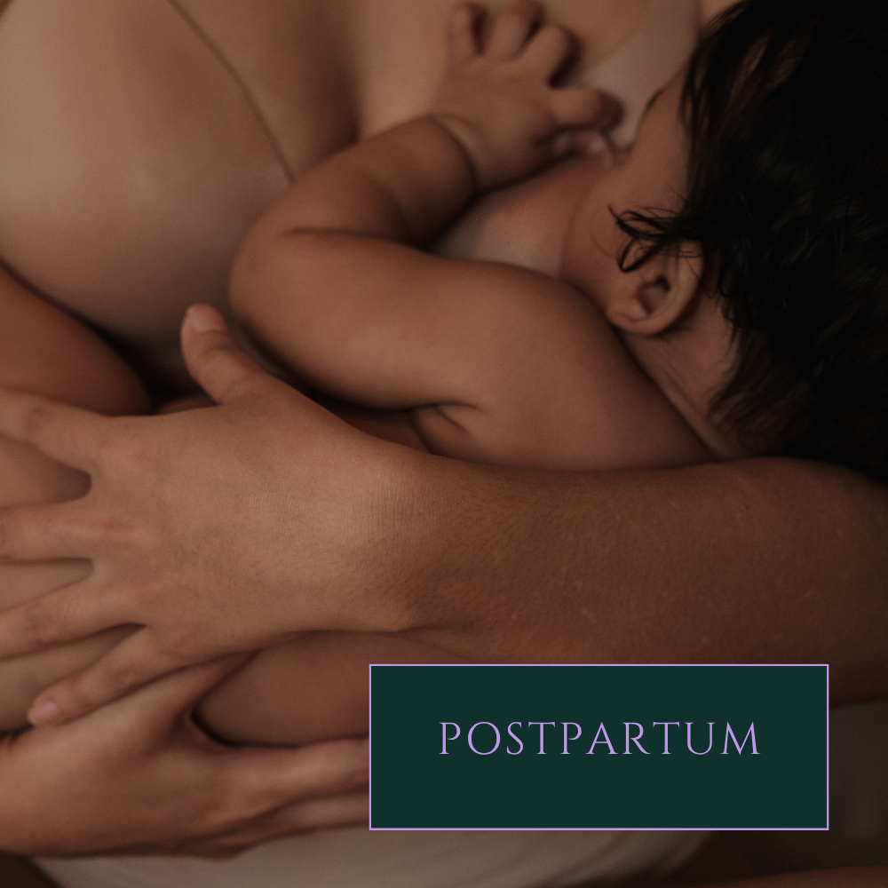 postpartum services link, close up person of color breastfeeding infant
