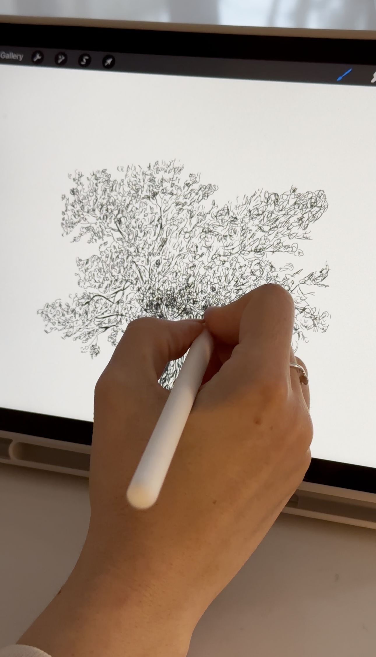 Close-up of a hand drawing a detailed tree on a digital tablet with a stylus.
