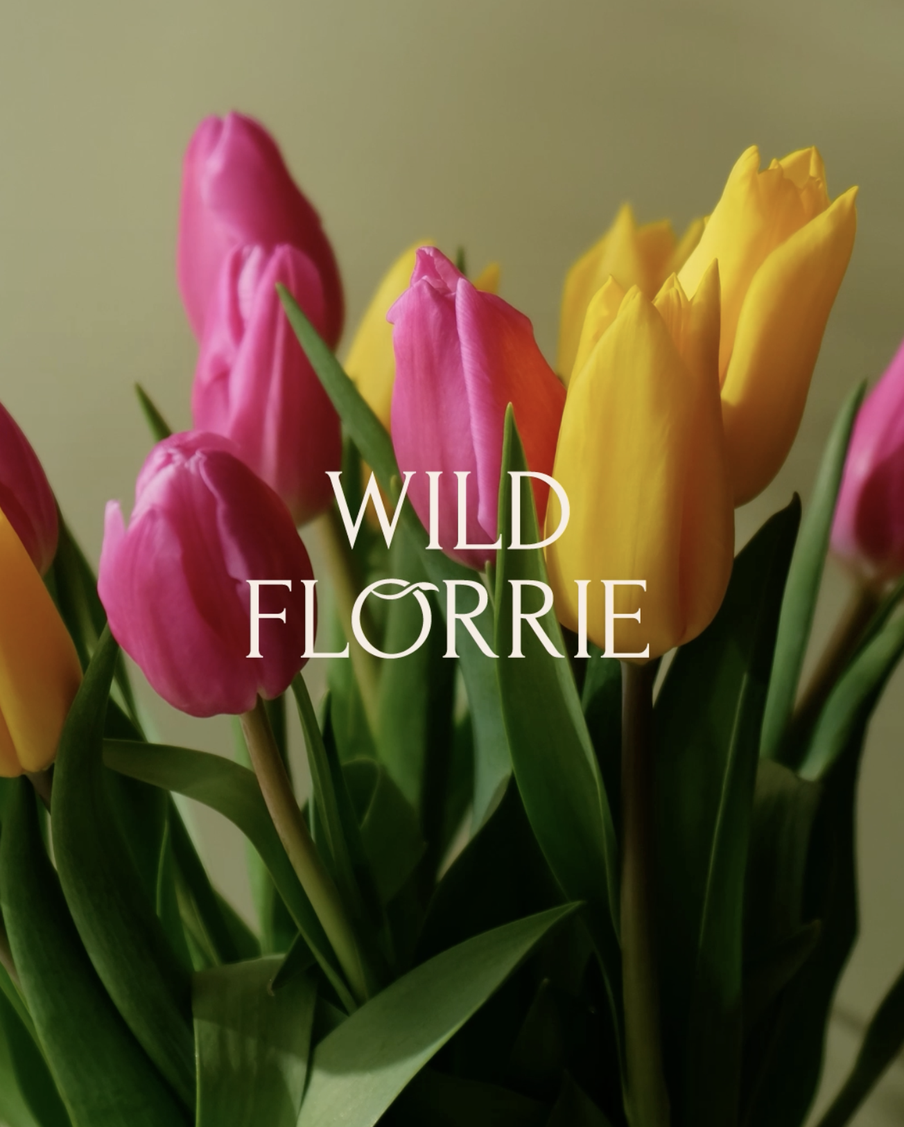 Wild Florrie Branding