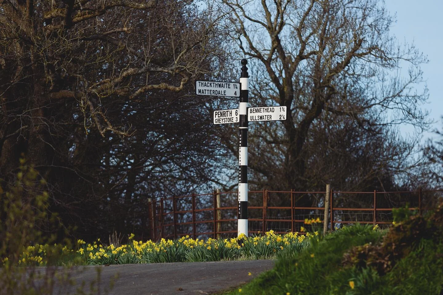 Daffodils everywhere!
-
#spring #daffodils #sparketmill #lakedistrict #cumbria