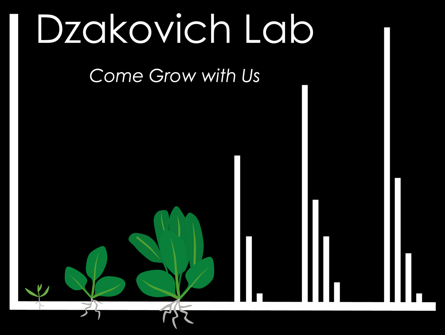 Dzakovich Lab
