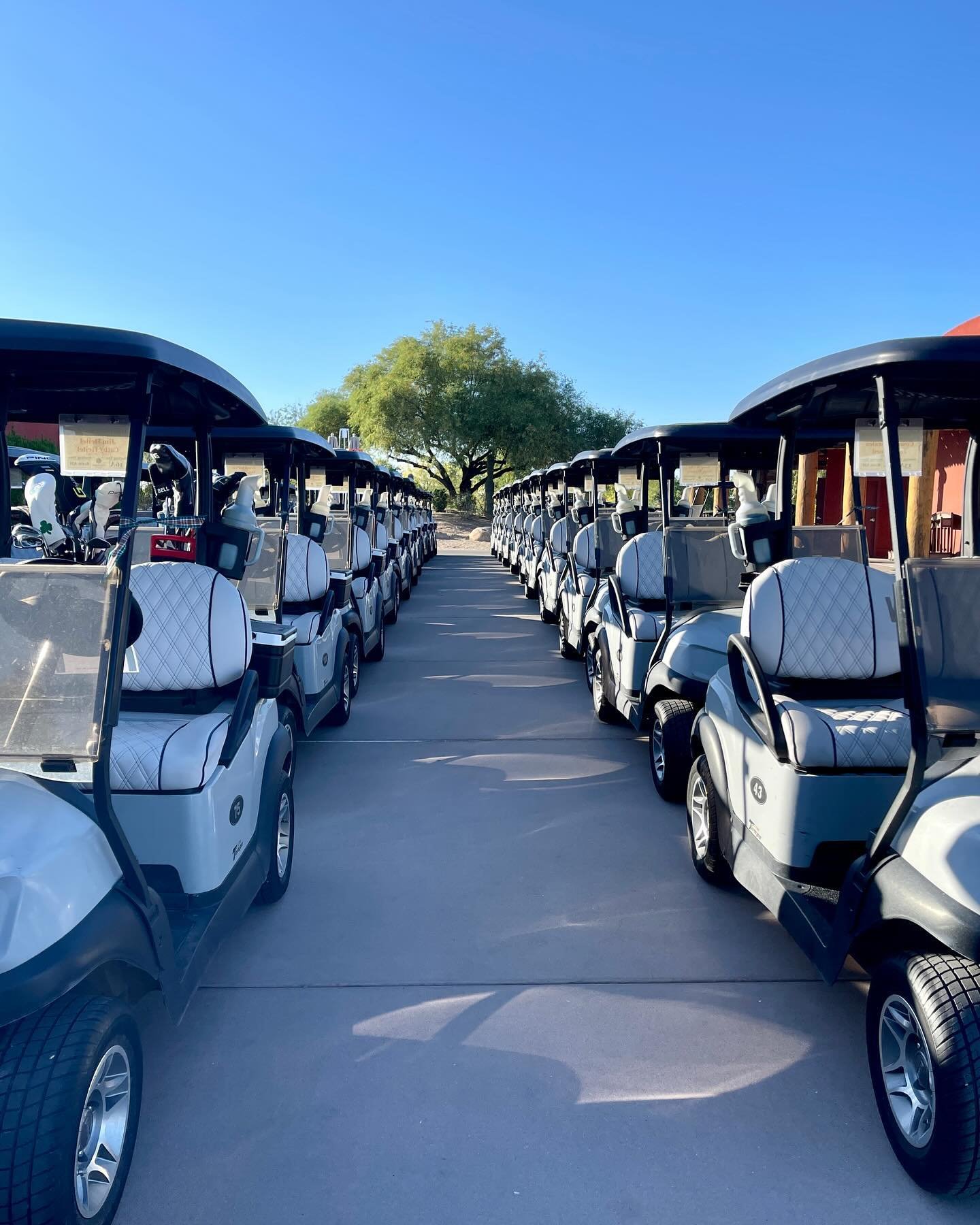 ✌🏻 Perfect day for golf, raising funds, and soaking up the sunshine in Phoenix! ☀️⛳ Springtime in the desert is unbeatable! 🌸🌵 #mentorkidsusa #phoenixaz #scottsdale #LetsBuildSomethingBeautifulTogether #phoenixcommunity #changetheworld #MKGolfChal