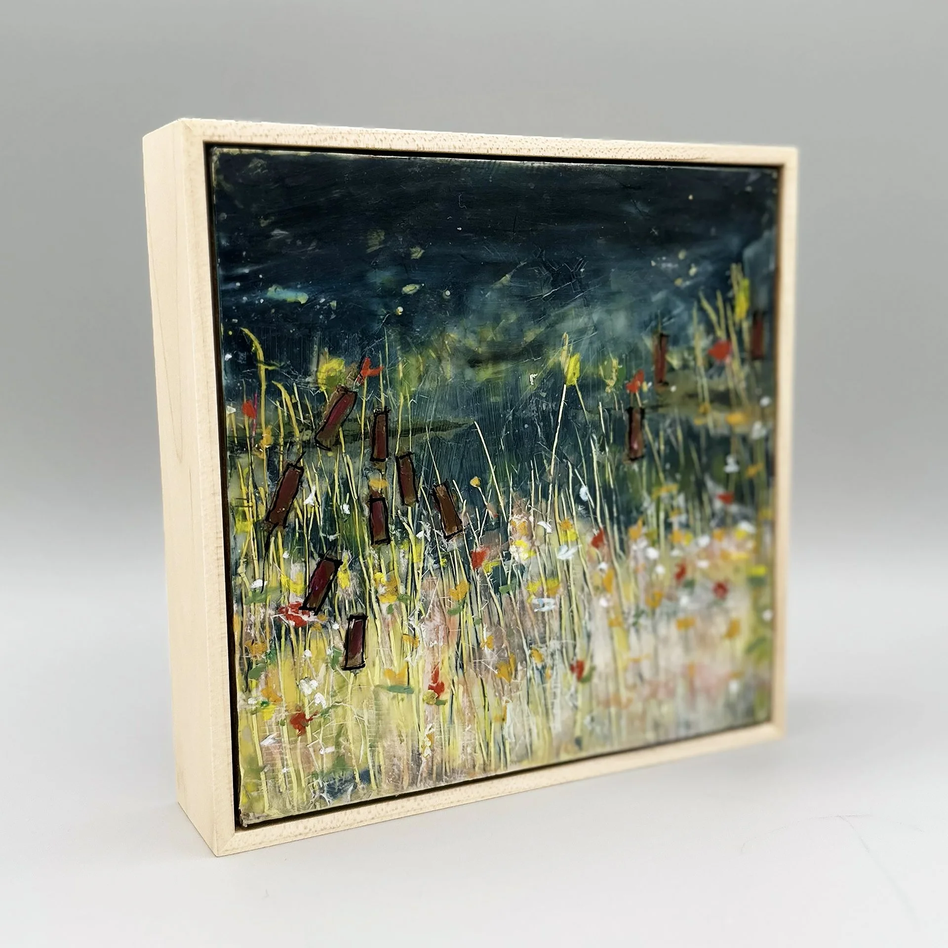 3. Firefly Sky Angled.jpg