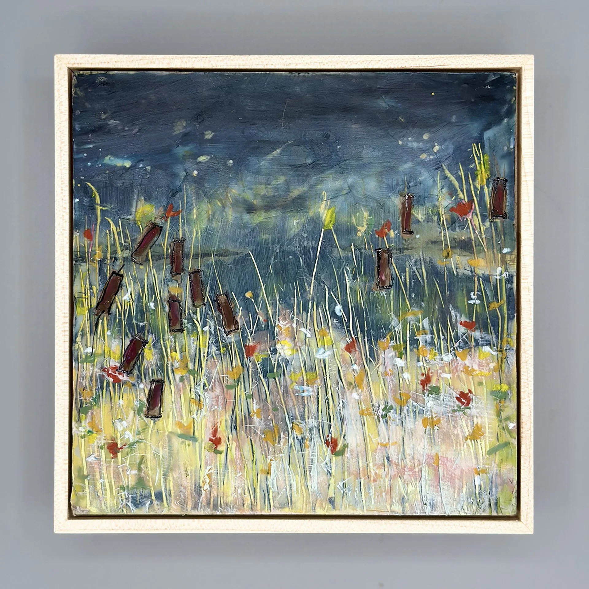 1. Firefly Sky Square.jpg