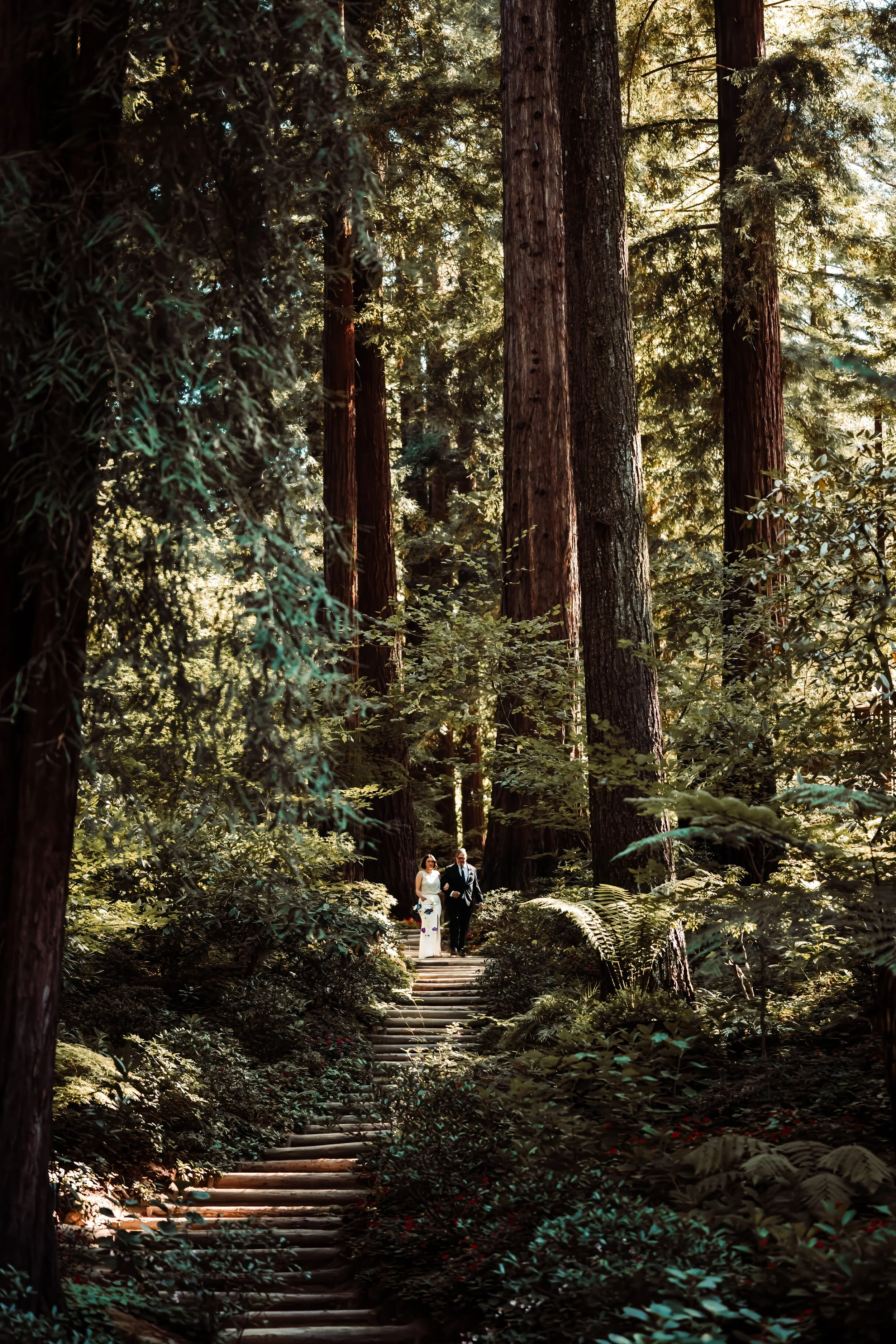 A bride and groom walking together on a forest trail surrounded by tall redwoods and lush greenery, with sunlight filtering through the trees.