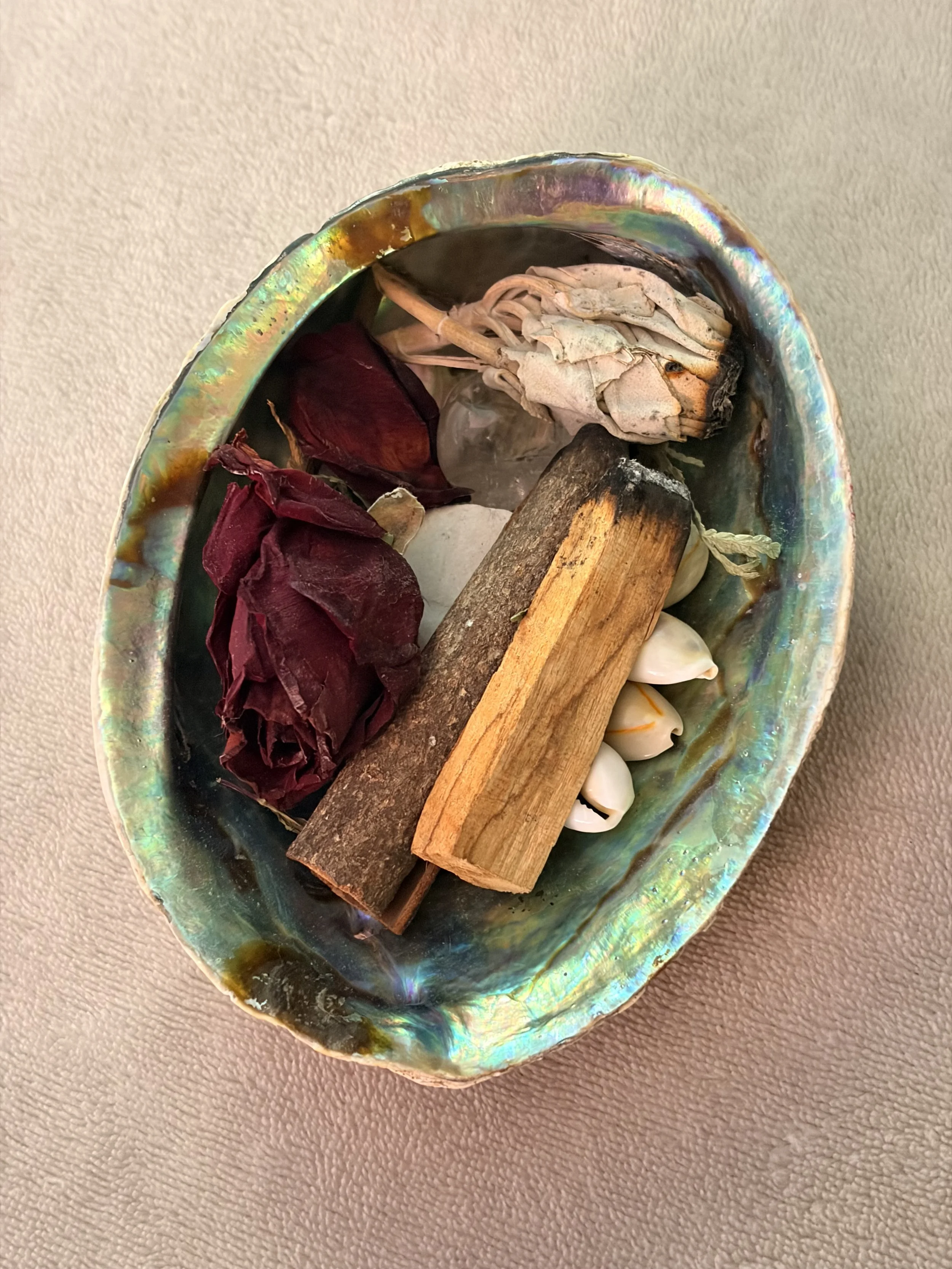 Close-up of abalone shell filled with dried flowers, palo santo, and small shells on a textured surface.