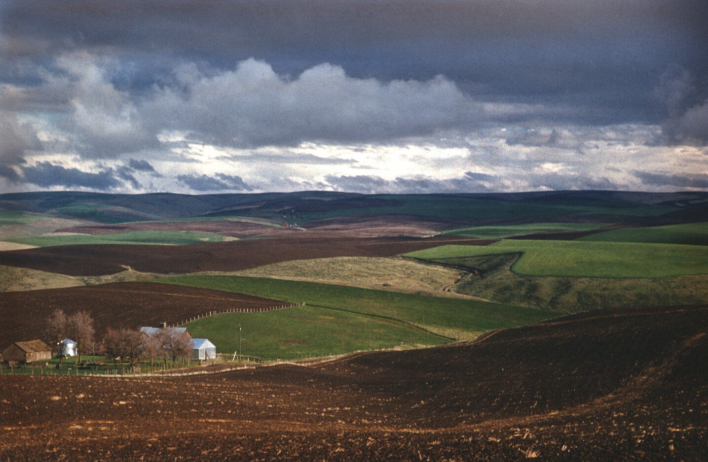 Scan-120921-0181.jpg