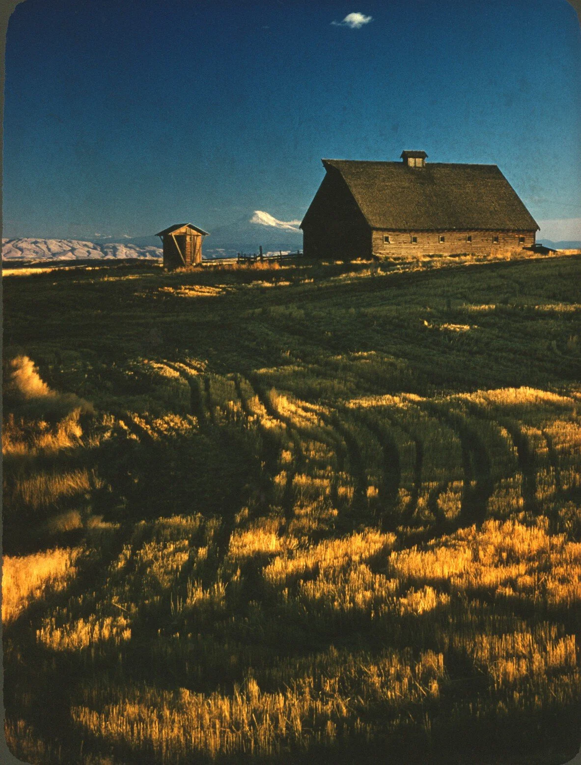 Scan-120921-0172.jpg