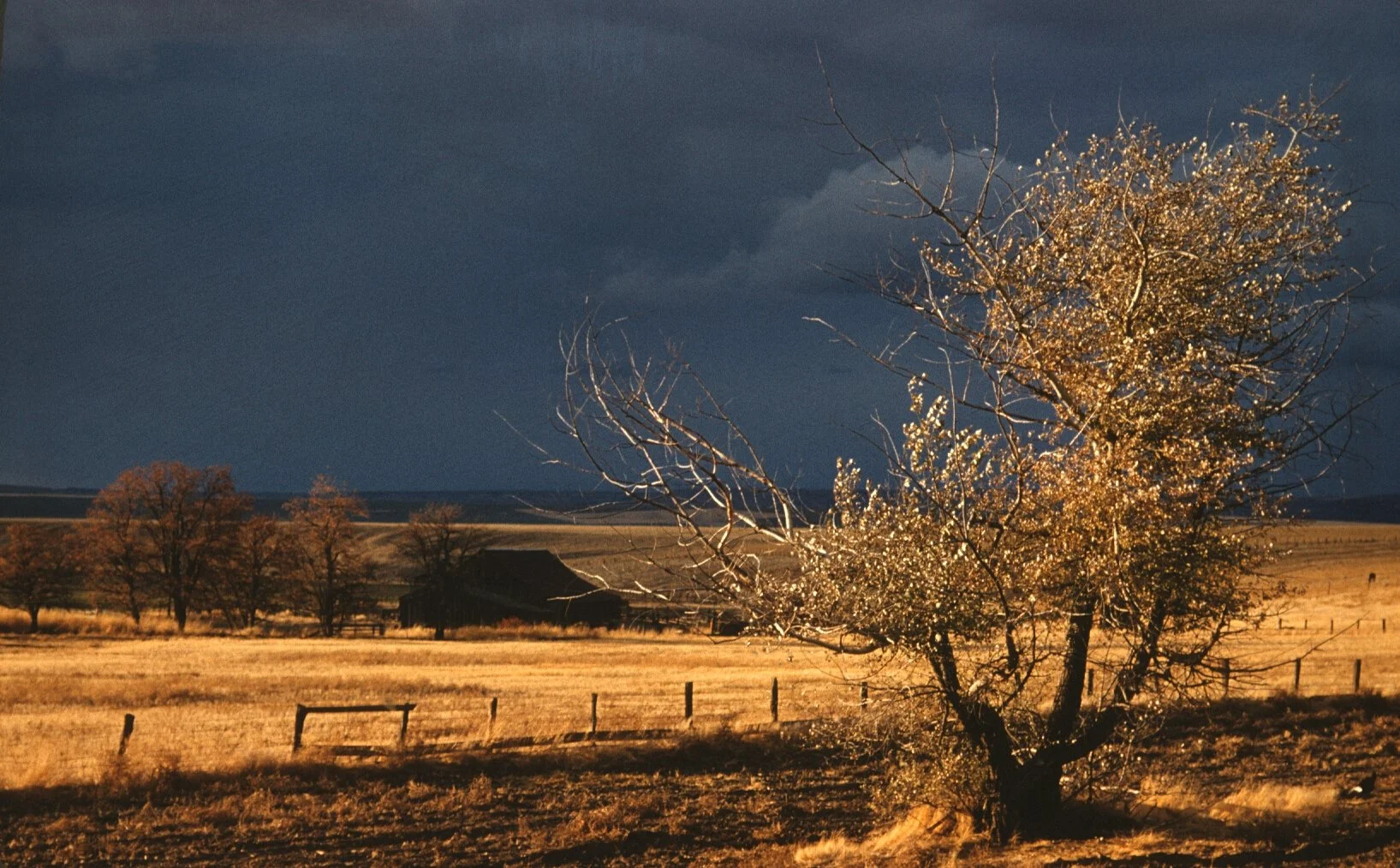 Scan-120921-0212.jpg