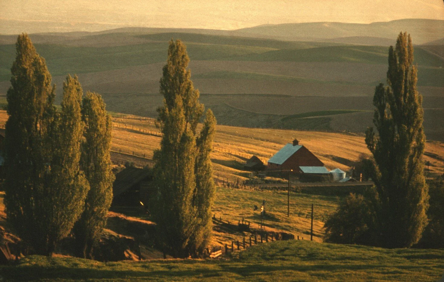 Scan-120921-0190.jpg