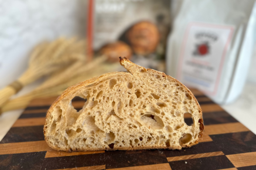 Untitled design (13).png