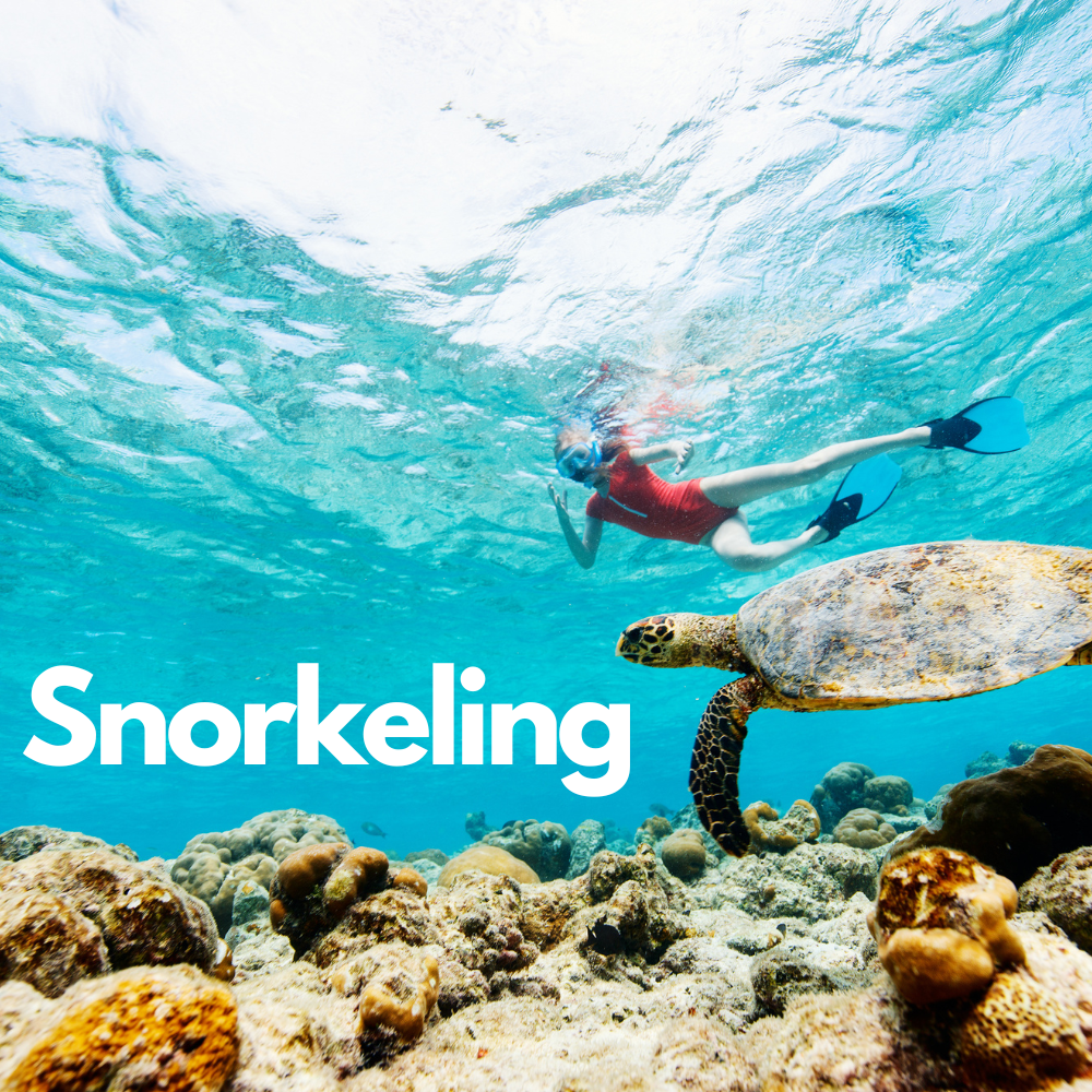 Copy of cold, smooth & tasty..png