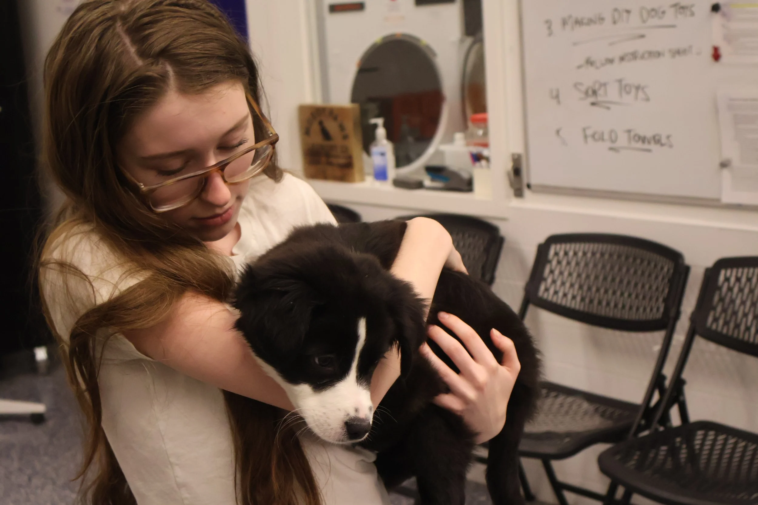 Student holds a puppy during a site visit to an animal shelter.