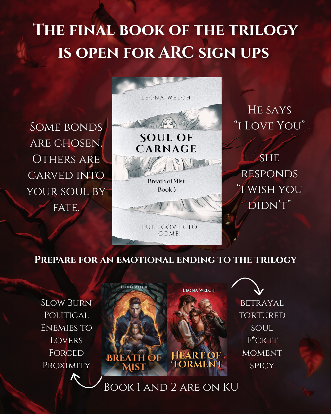Soul of Carnagr - 4.png