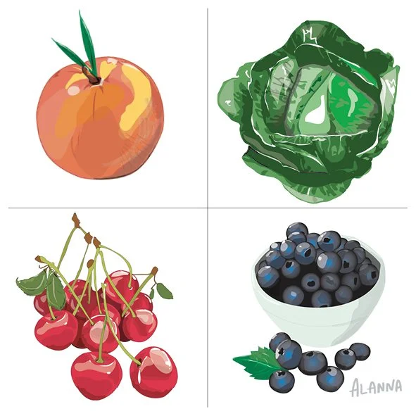 fruit and veg peach lettuce cherries blueberries illustration editorial
