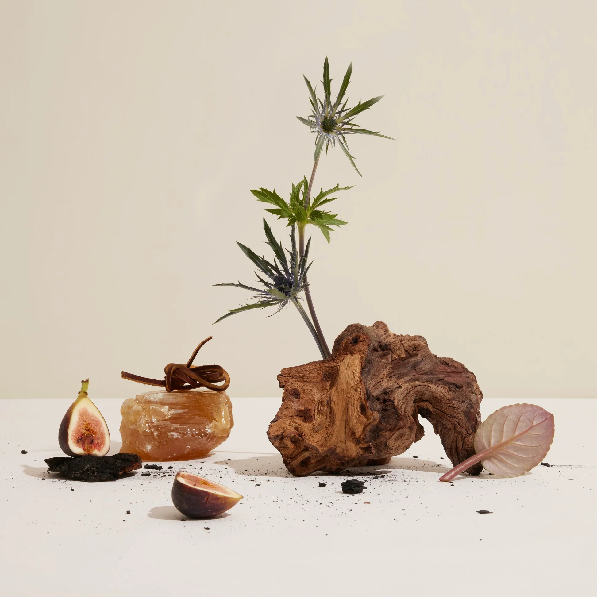 good chemoistry 2.webp