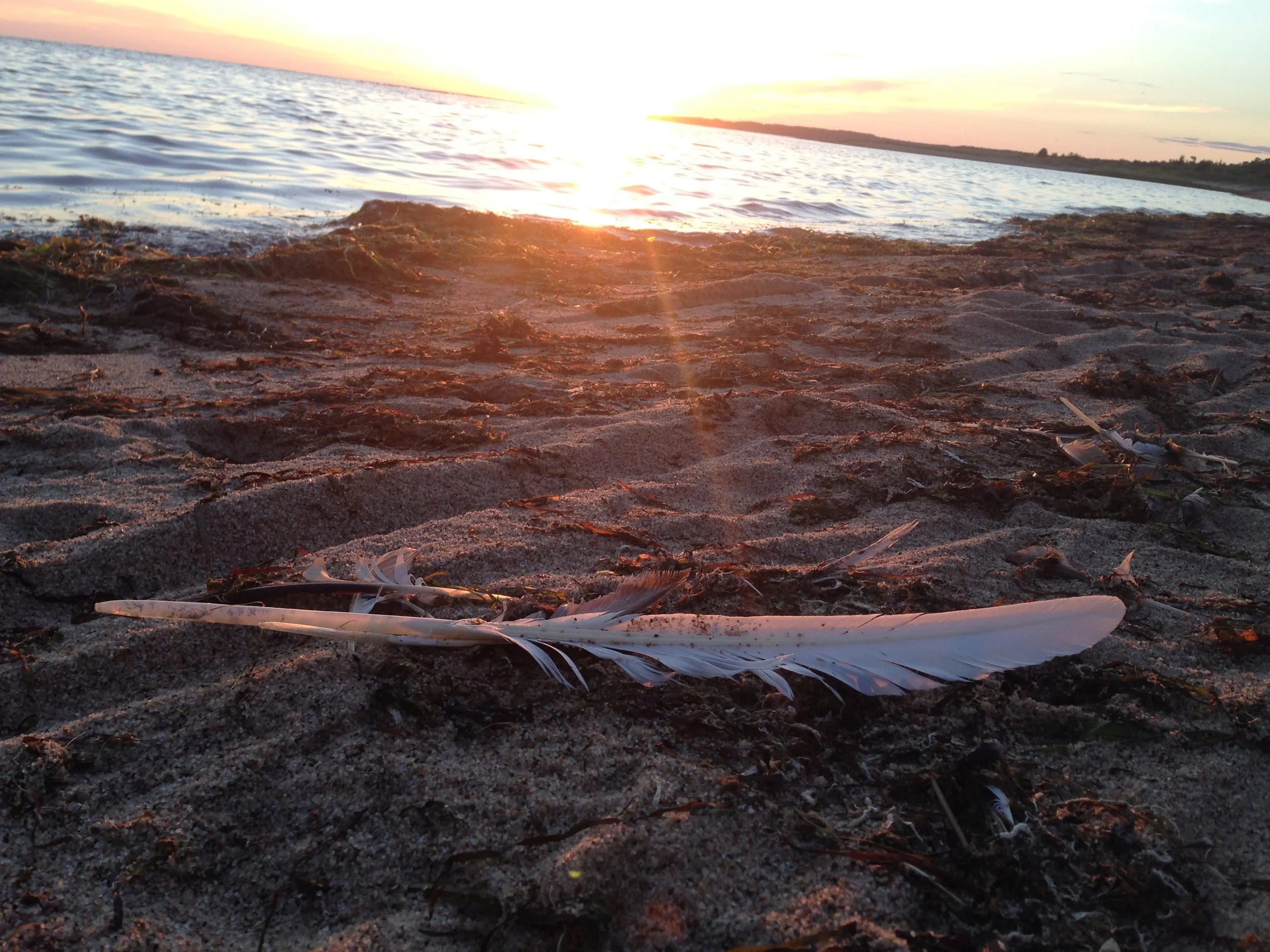 About vulnerability hangovers