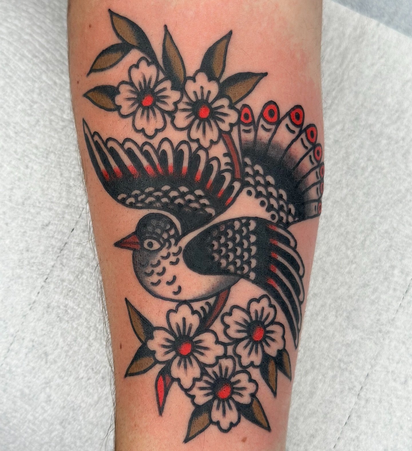 bird from a while ago