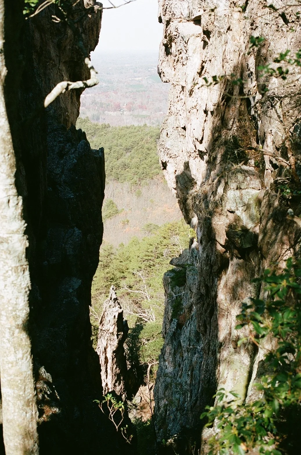 28.jpg