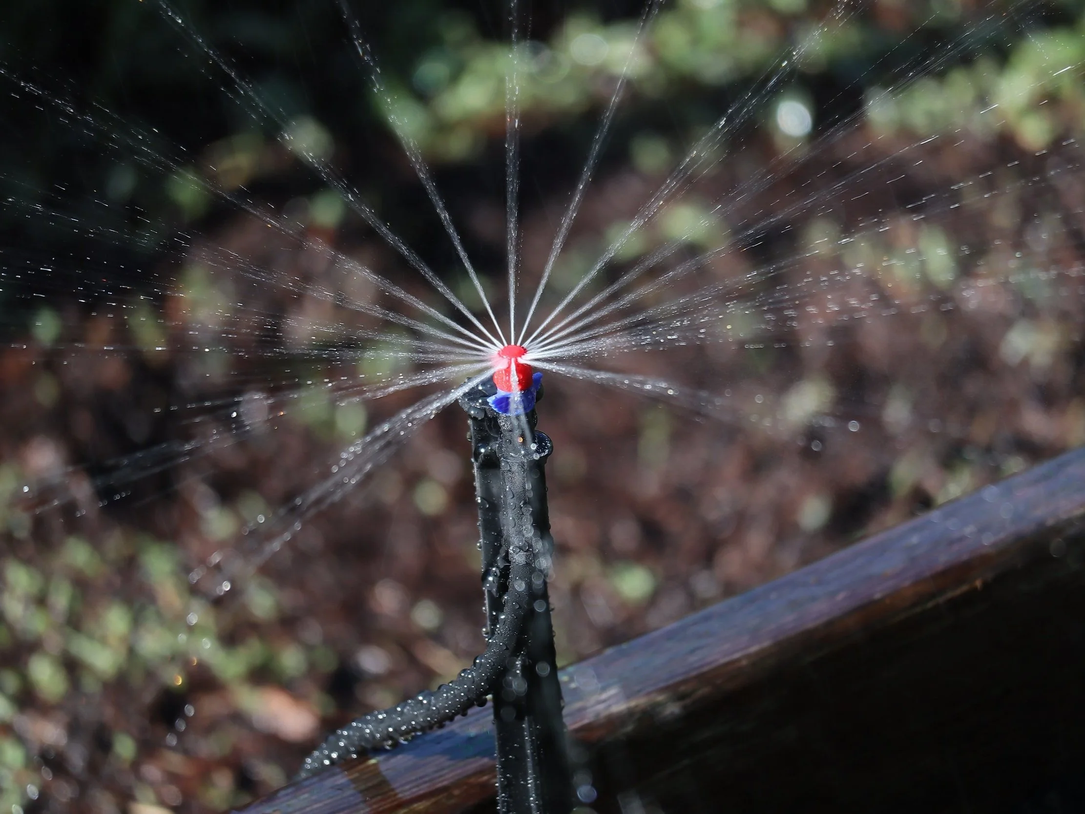 Sprinkler System Tune-Ups & Repair