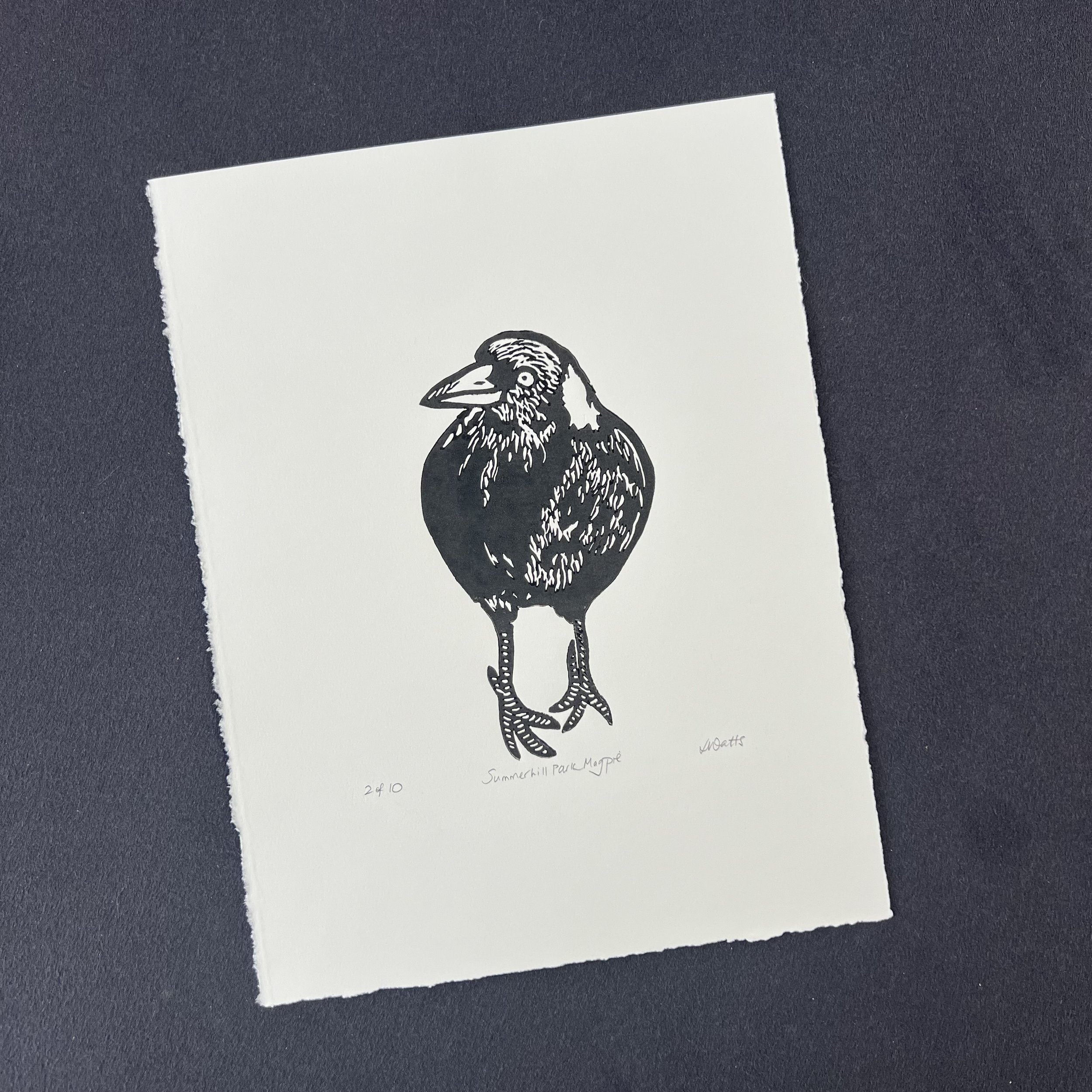 magpie2.jpg