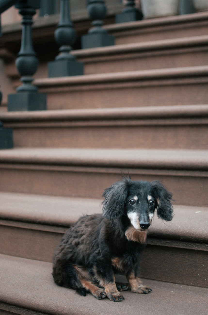 Screenshot 2025-12-21 at 6.31.39 PM.png