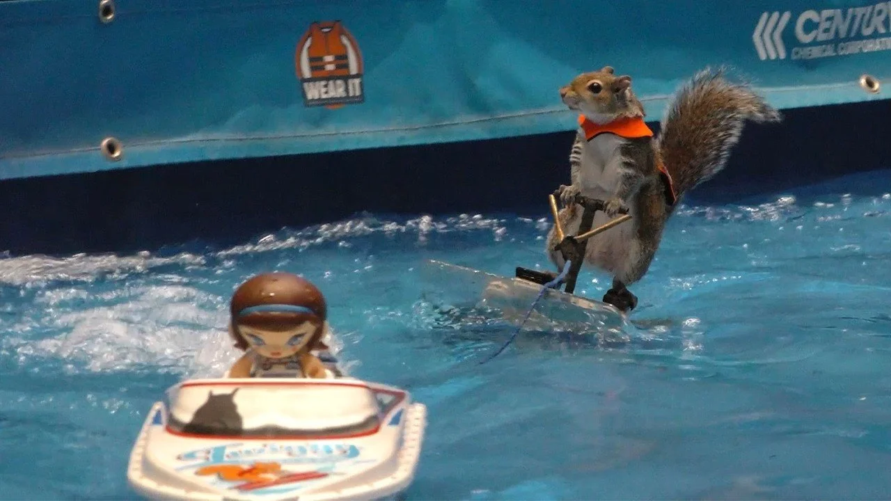The Truth Behind Twiggy the Waterskiing Squirel