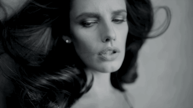 gif director small.gif