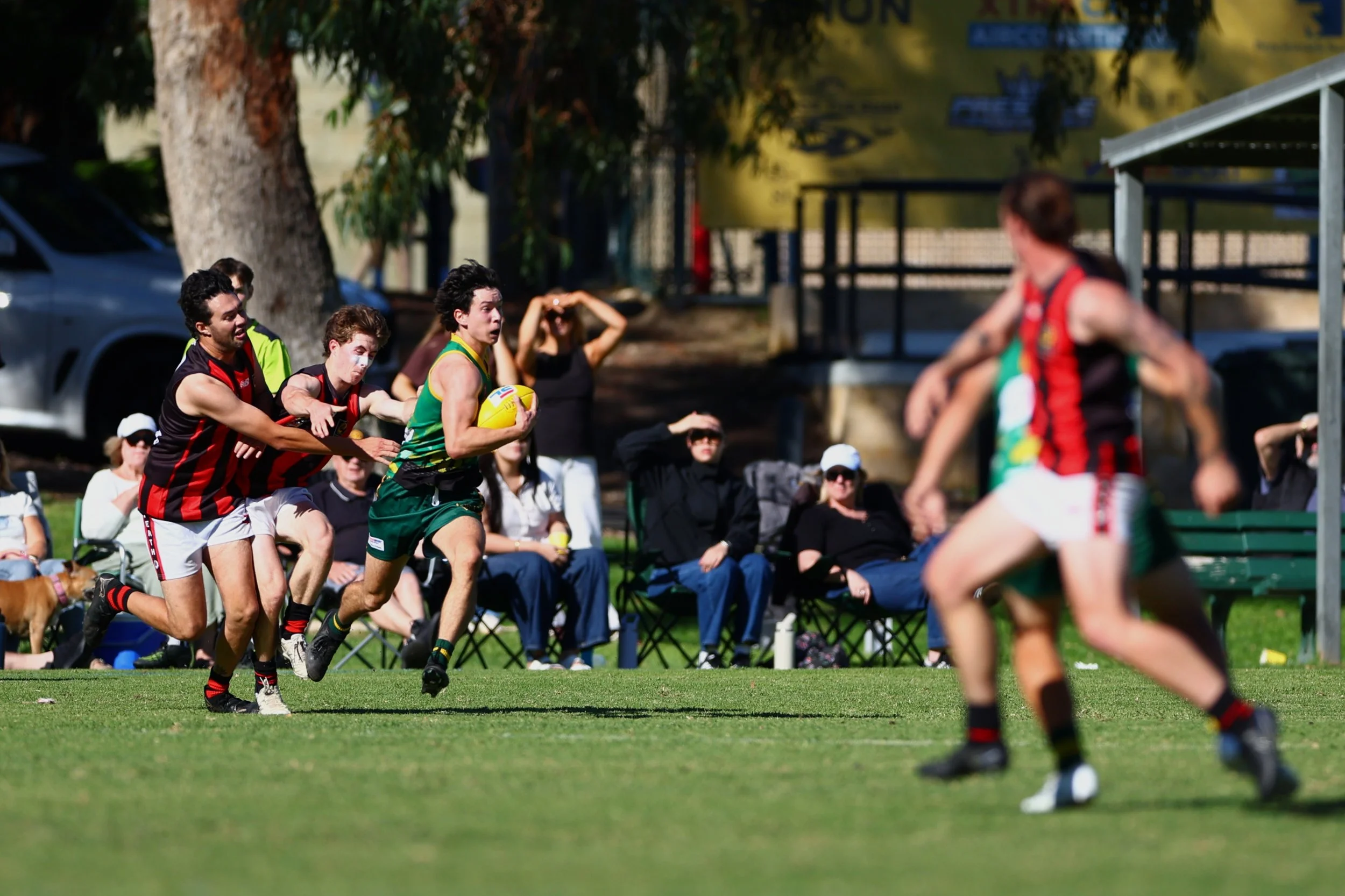 AIDR3575.jpg