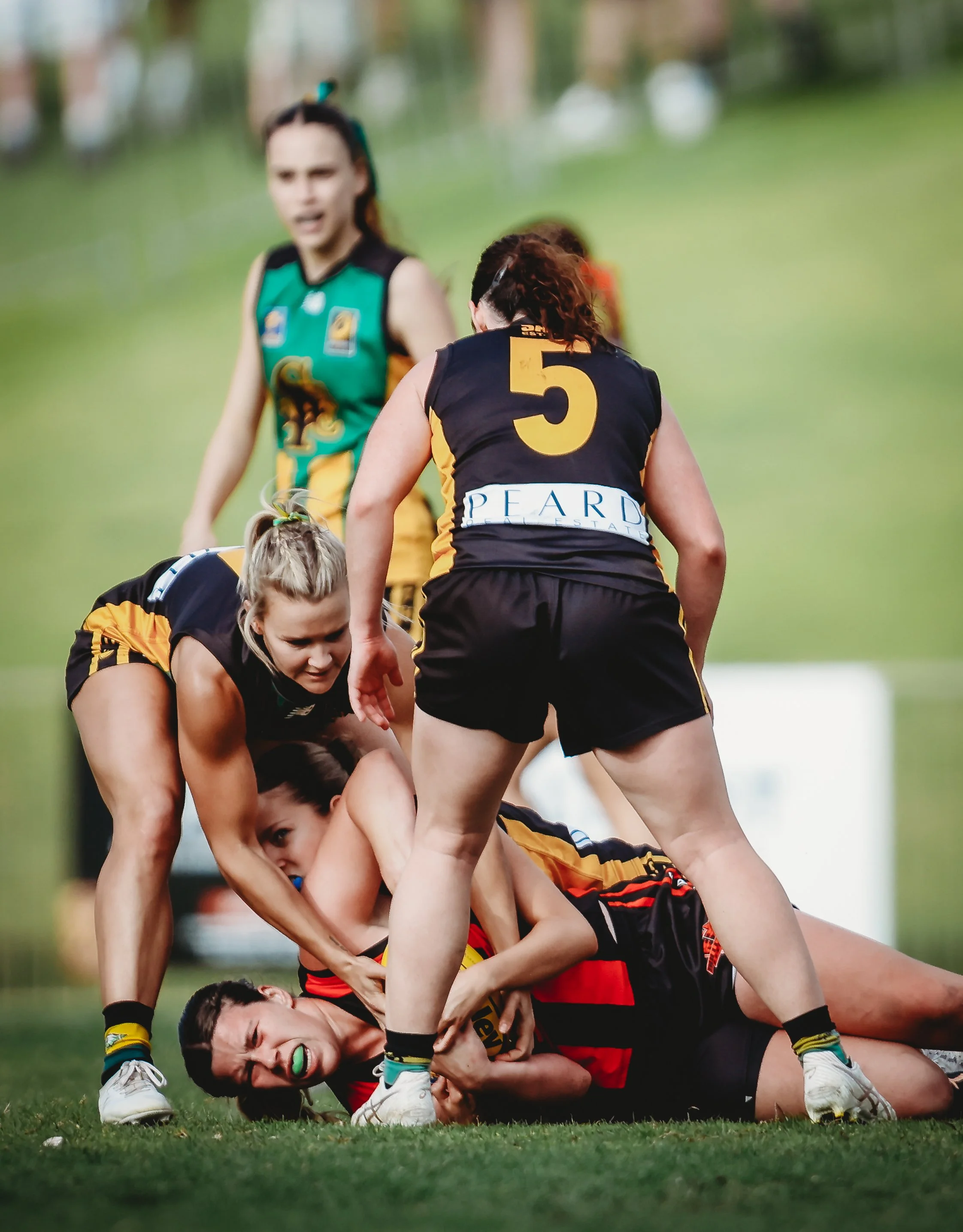 GFscarboroughxbullcreek_sidelinestills-250.jpg