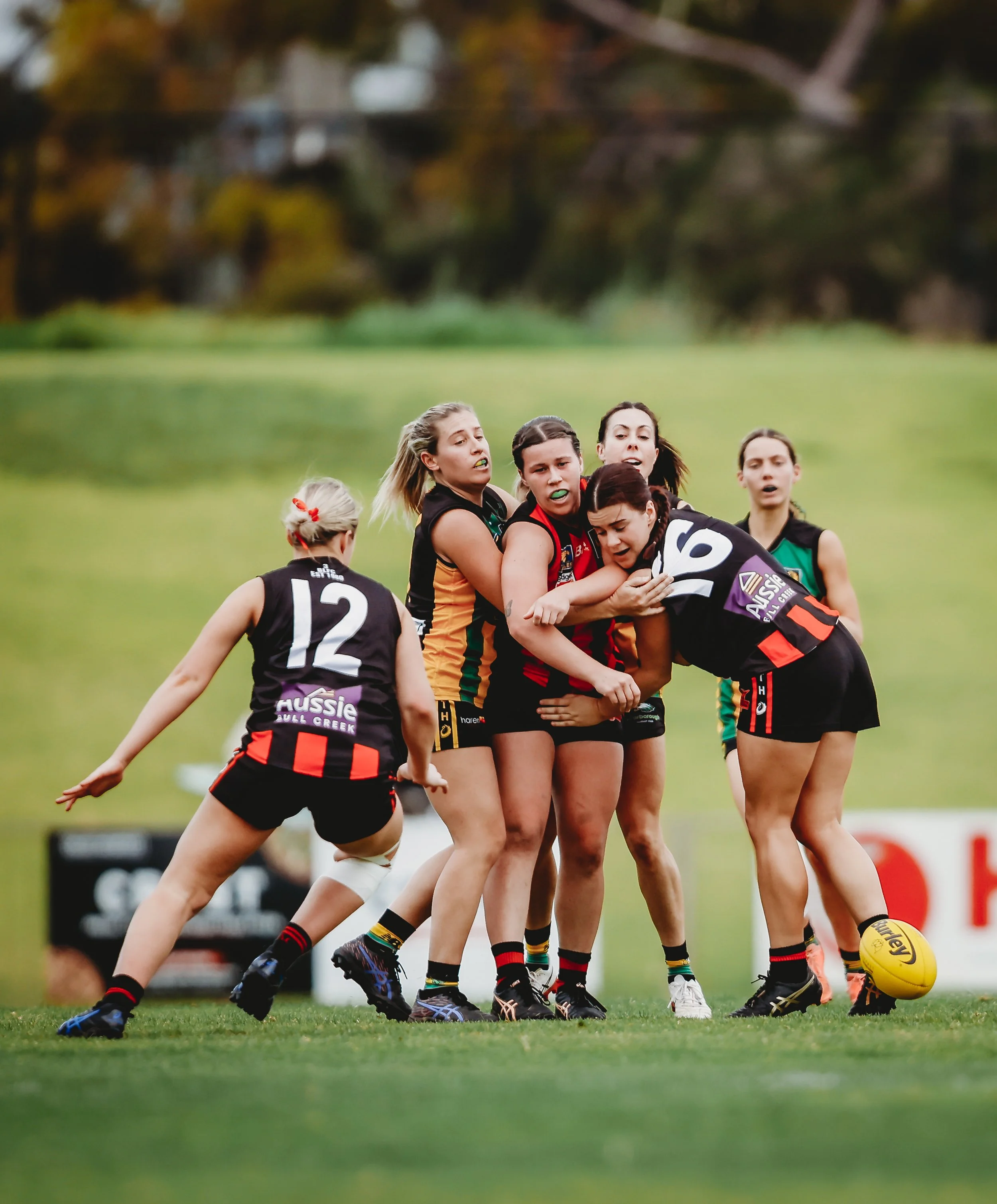 GFscarboroughxbullcreek_sidelinestills-122.jpg
